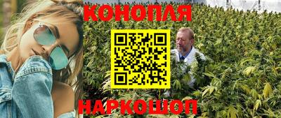 spice Заволжье