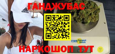 крисы Славгород