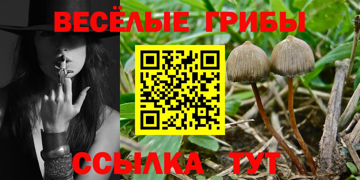 Псилоцибиновые грибы MAGIC MUSHROOMS Мариинск